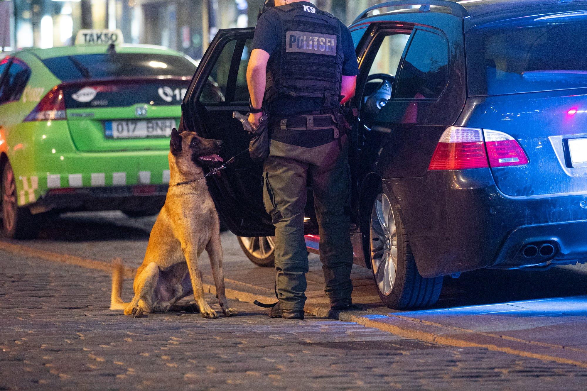 Politsei on segaduses. Miks ometi teenistuskoer jalakäijat ründas?