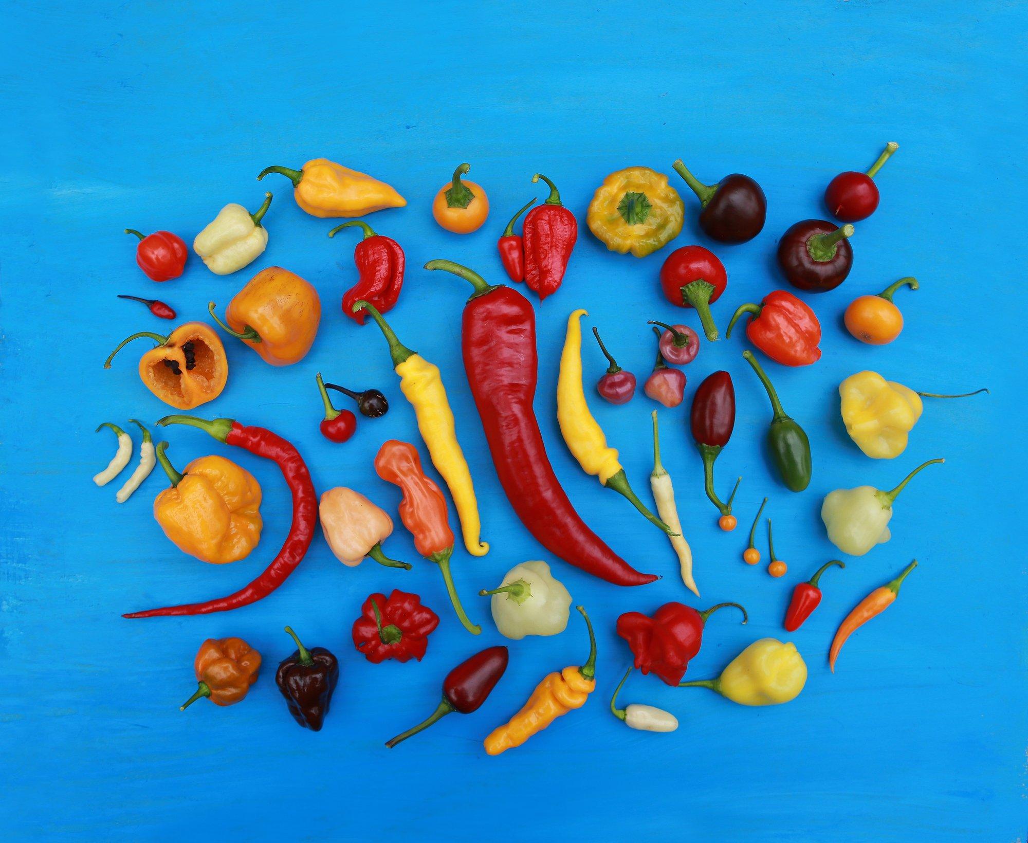 Nüüd on viimane aeg tšilliseemned mulda panna! Milline sort sel aastal valida?