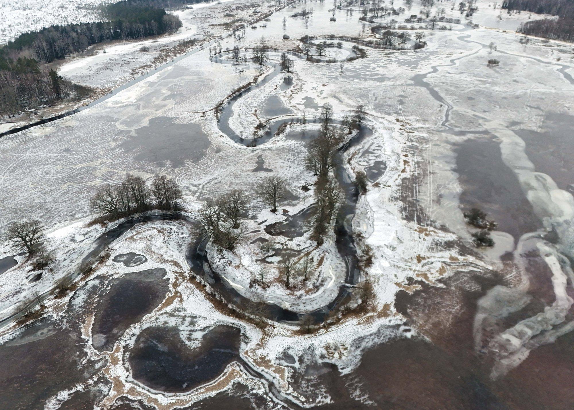 FOTOD ja VIDEO | Soomaa luhad pakuvad ideaalilähedasi jääolusid