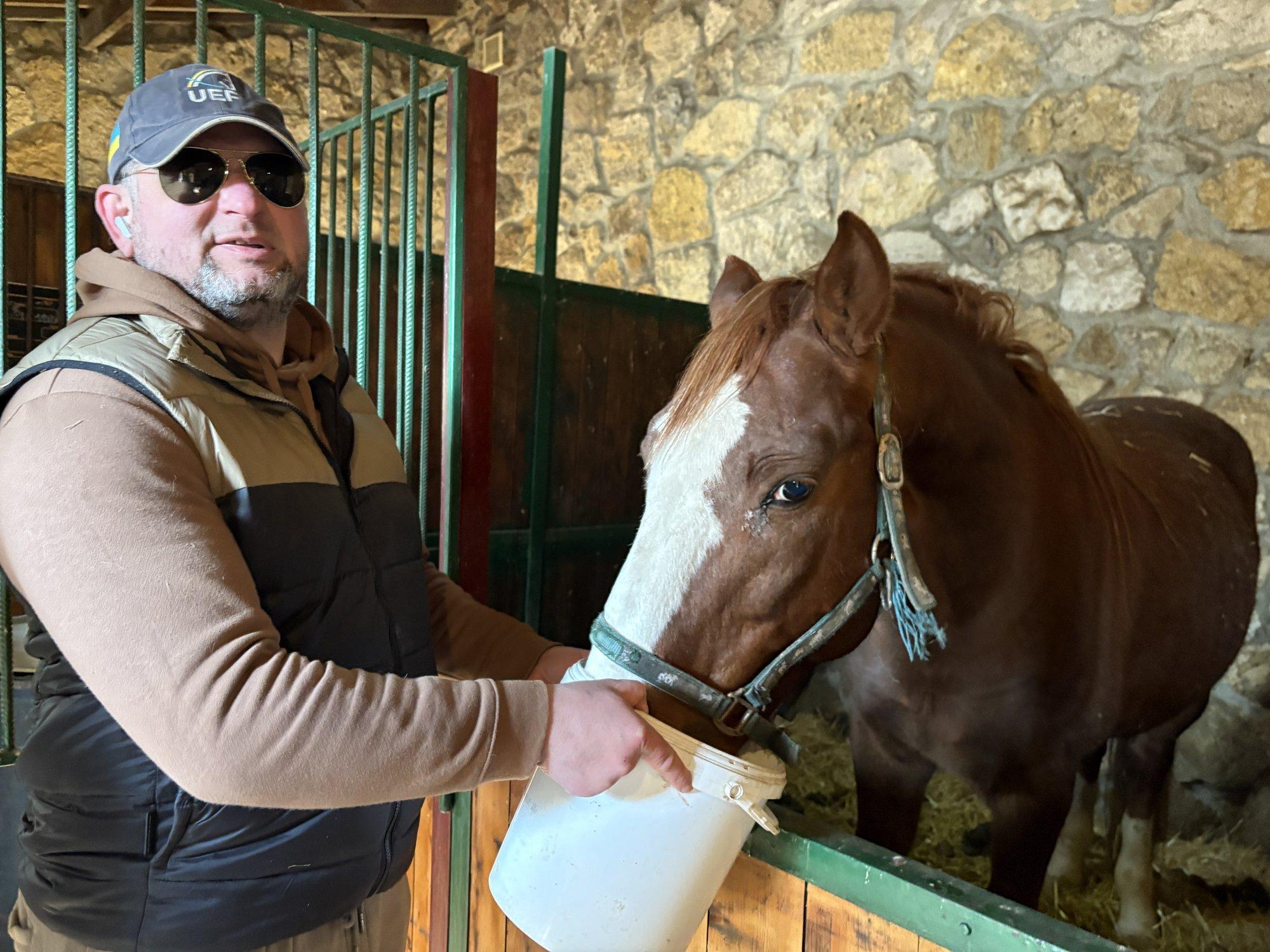 MAALEHT UKRAINAS | Elu rindelähedases turismitalus: Hersonist evakueerusid just hobune ja kaks eeslit