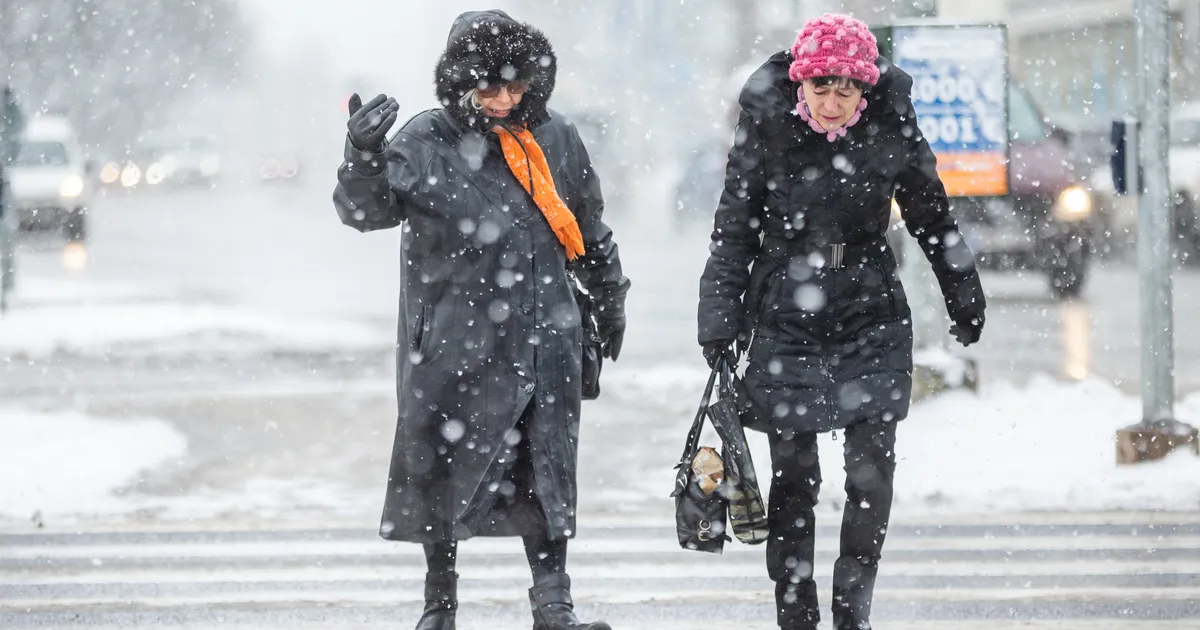 Lähipäevad toovad veidi lumelisa