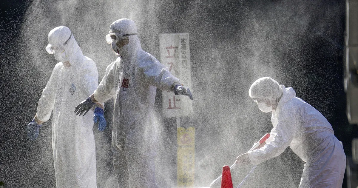 ETTEVAATUST, LINNUGRIPP! ⟩ Ohtlik taud on jõudnud juba Leetu ja Soome