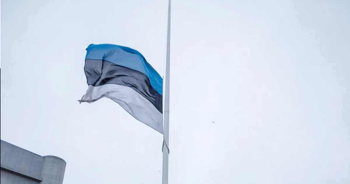 Tartu rahu 105. aastapäeval lehvivad Eesti lipud