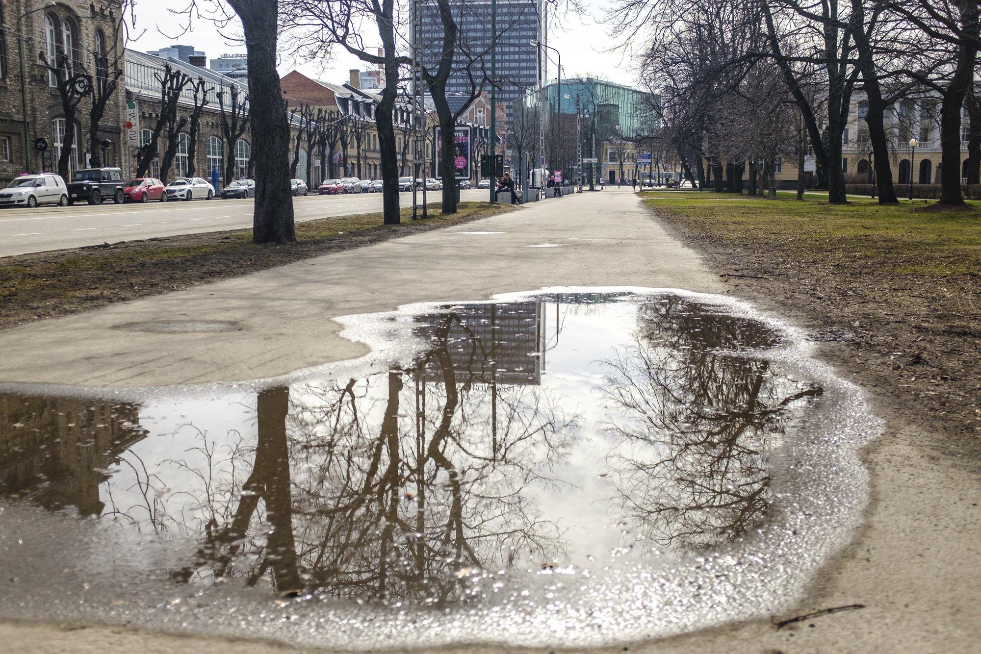 Sünoptik Taimi Paljak: temperatuurid pöörduvad õige pea taas plussi