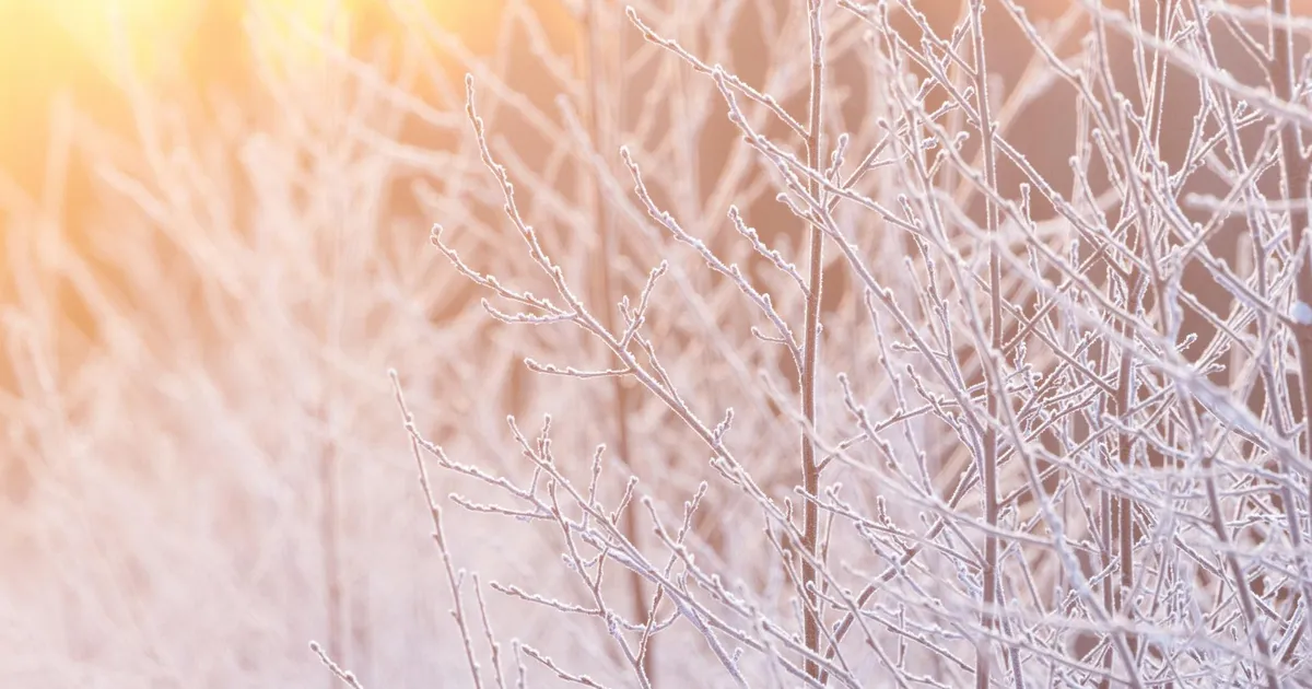 Teisipäeval tuleb kuni üheksa kraadi külma
