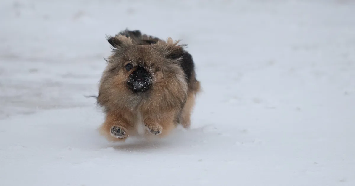 Lähipäevad toovad päikest ja külmakraade