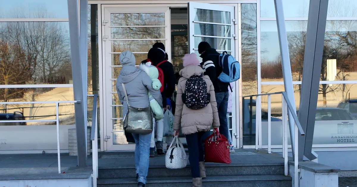 Kõrgharidus taskus, aga tööta – üle poole Ukraina põgenikest on töötud