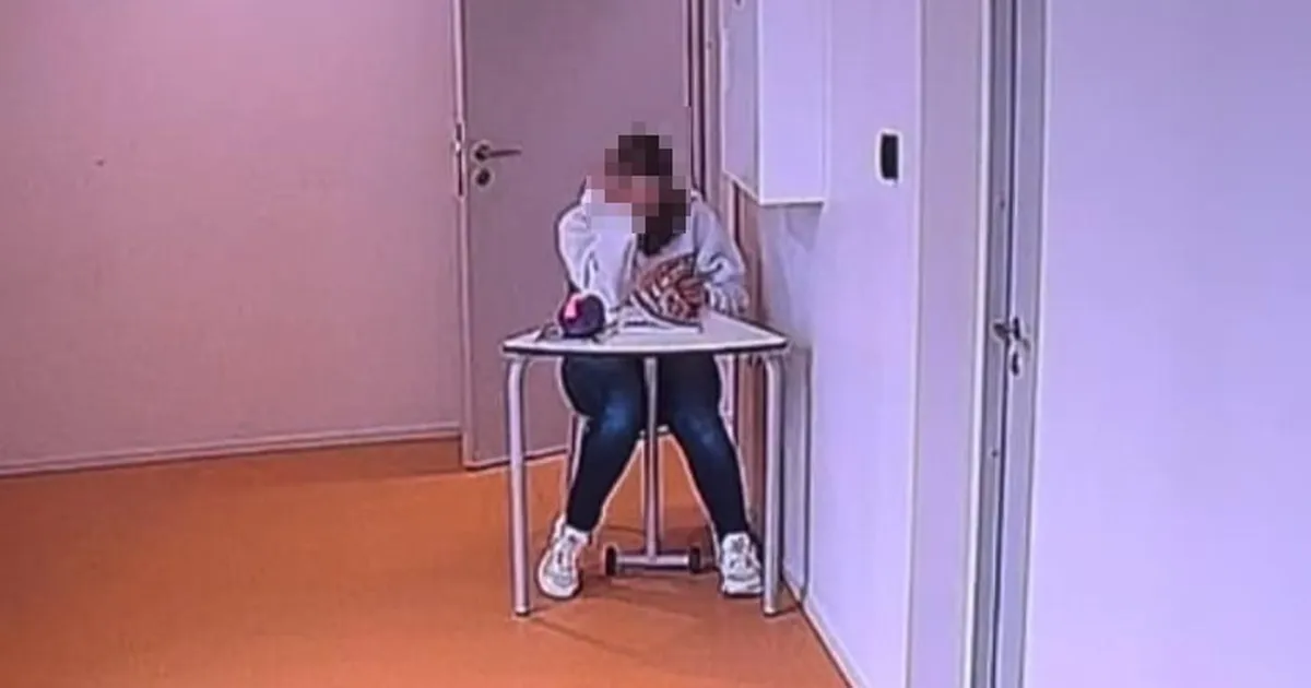 Ema süüdistas vene keele õpetajat ja kooli juhtkonda lapse ahistamises. Siiski osutus kõik palju keerulisemaks