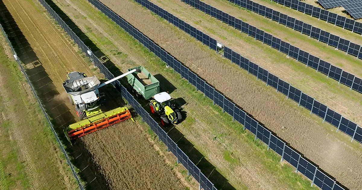 NEW SCIENTIST ⟩ Vertikaalsed päikesepaneelid jätavad põllud alles