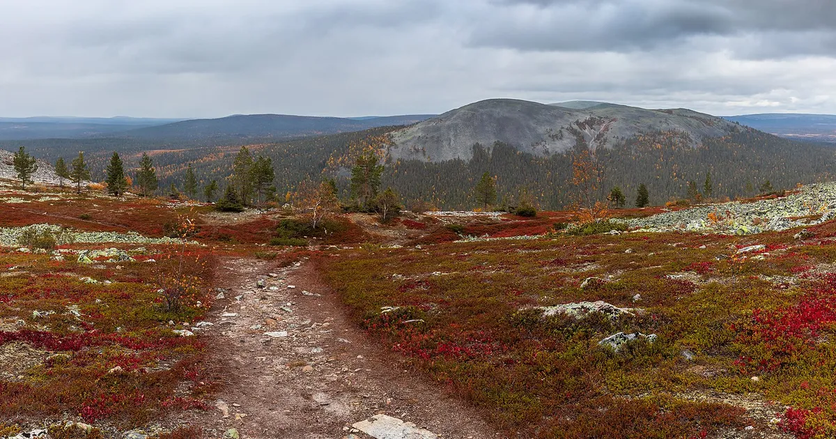 Rahvusparkide külastusstatistika keerasid tuksi väga ootamatud tegelased