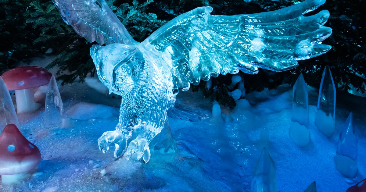 NÄDALAPROGNOOS ⟩ Nädala esimene pool võib tuua ärritavaid olukordi: ei maksa üle reageerida