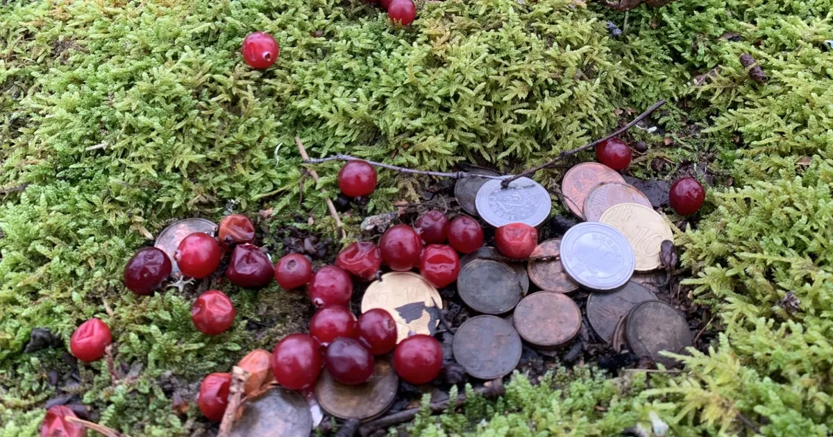 LOODUSKALENDER ⟩ Külma ilma keskel naasevad Eestimaale kevadlinnud