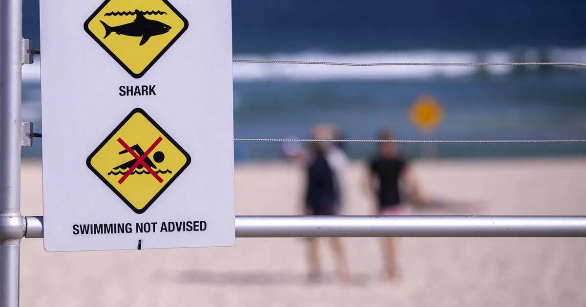 Austraalias sai hairünnakus surma 17-aastane ujuja