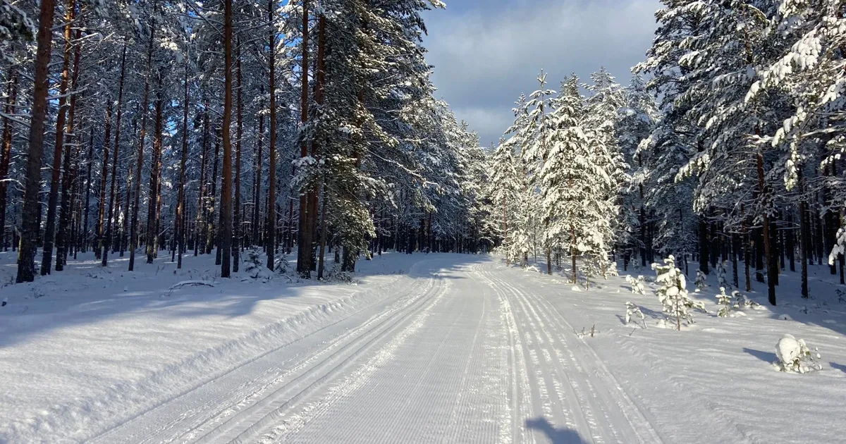 Talveilmad jätkavad võidukäiku, tuul tugevneb