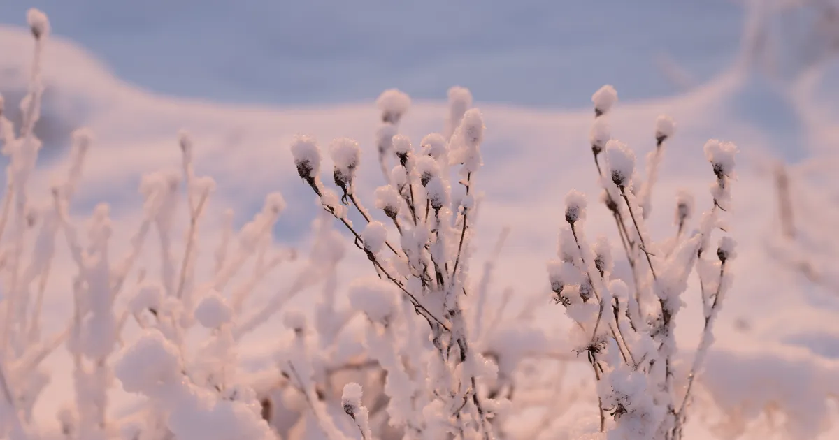VEEBRUARI HOROSKOOP ⟩ Kõige ärevam saab olema täiskuu paiku: õhus on midagi ettearvamatut