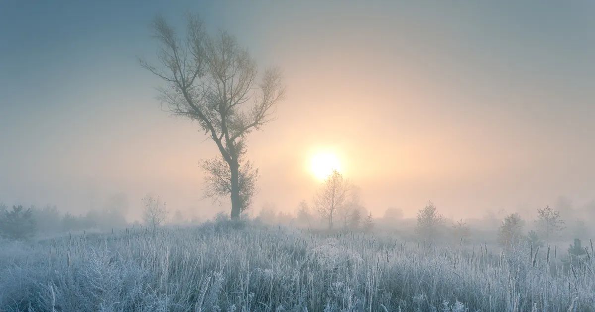 SODIAAGISOSINAD ⟩ Nädalalõpp võib tuua tervendavaid sõnumeid ja taipamisi: võib jõuda vajaliku tõeni
