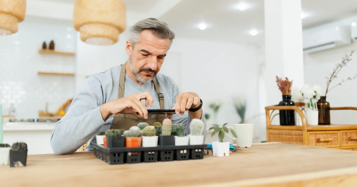 «Ma tapan katusegi ära!» Vead, millest hoidudes suudab ka kõige saamatum rohenäpp kõrbetaime elus hoida