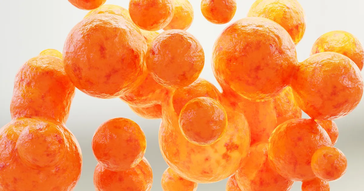 Rasvarakud aitavad tõhusalt vähiga võidelda, loe kuidas