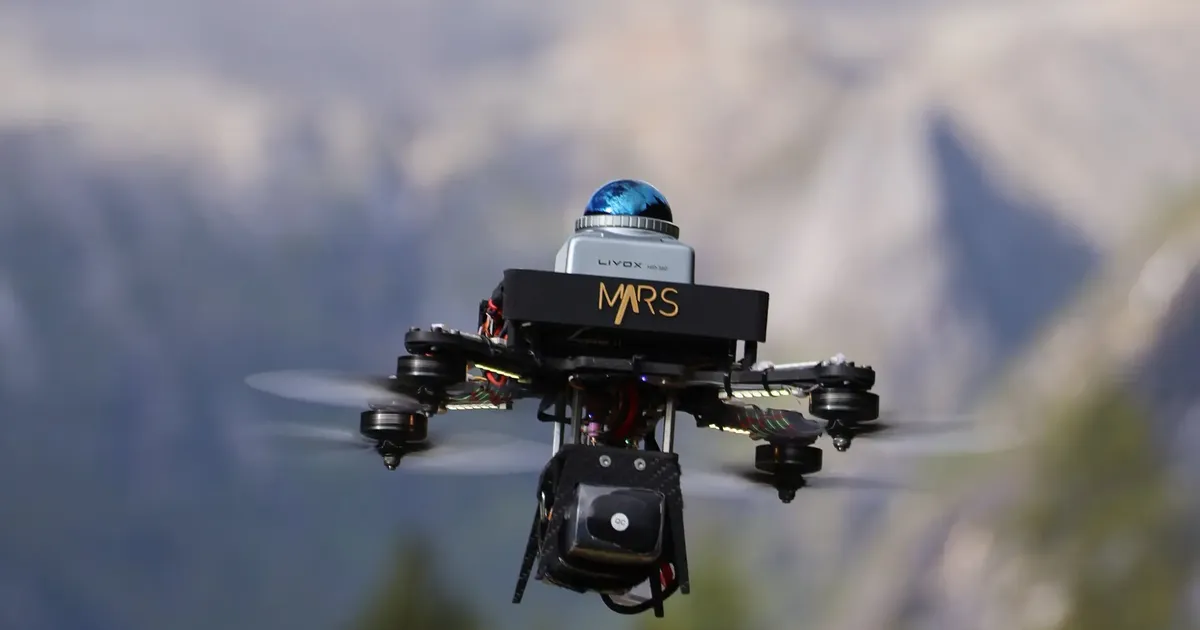 See droon põikleb puude ja okste eest pimedas metsas ja on väle nagu jänes