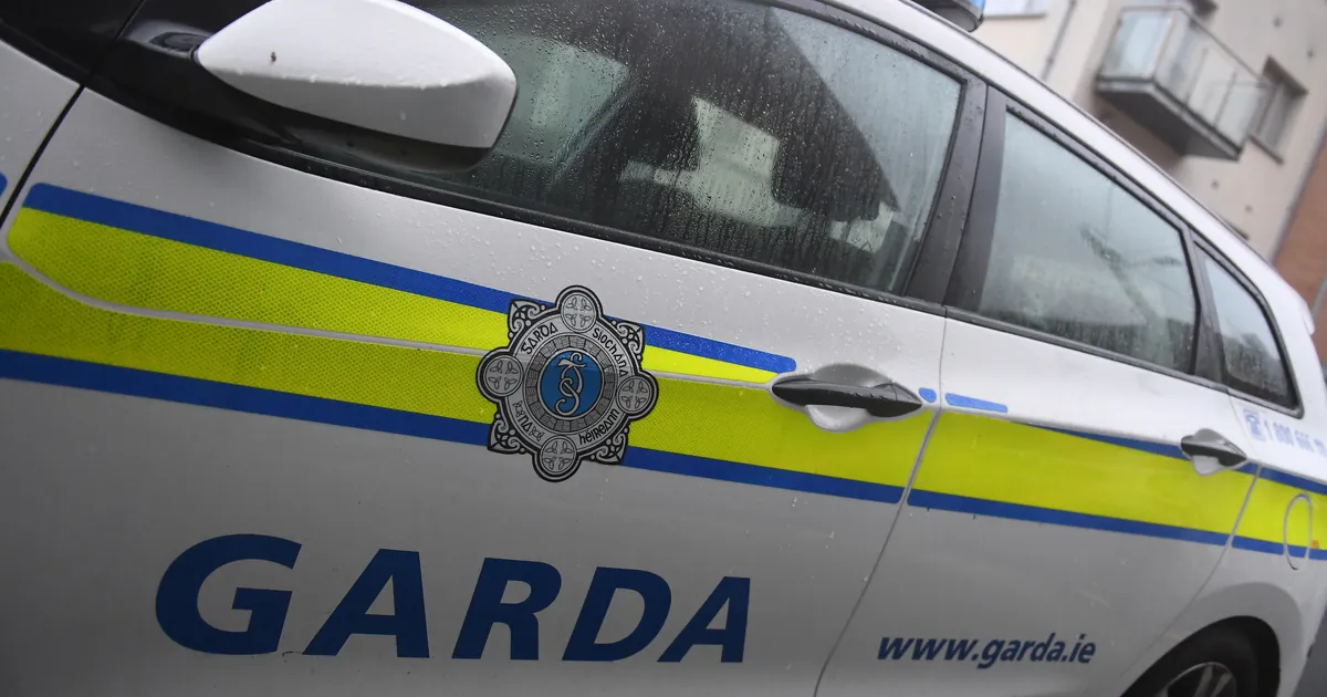 Politsei pidas Dublinis kinni mitut inimest pussitanud mehe