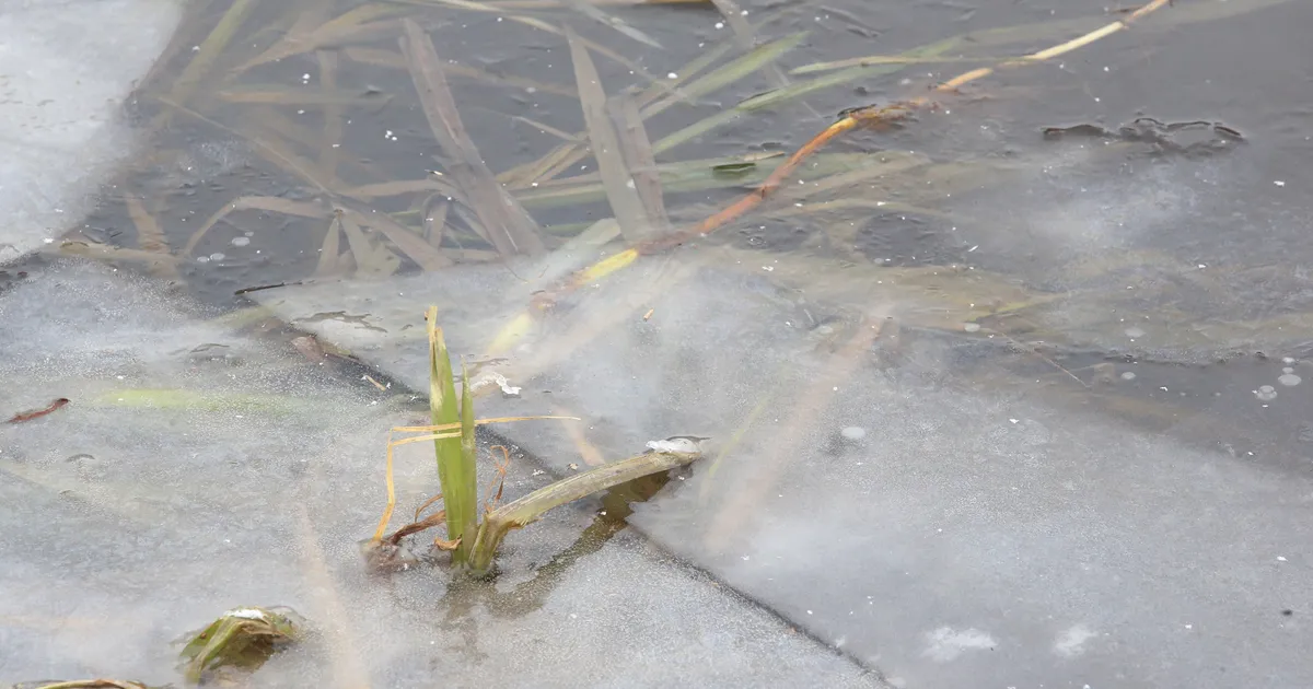 Kaldal mänginud laps vajus läbi jää Emajõkke