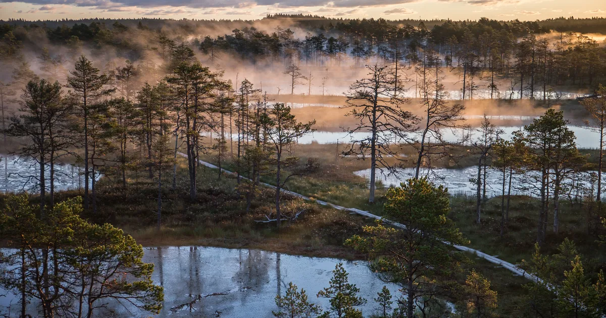 Vaata, millised on Eesti popimad matkarajad