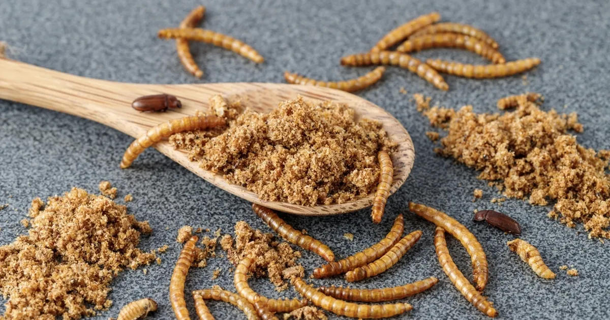 Euroopa Liit on otsustanud: jahumardikaid võib nüüd inimtoitu toppida