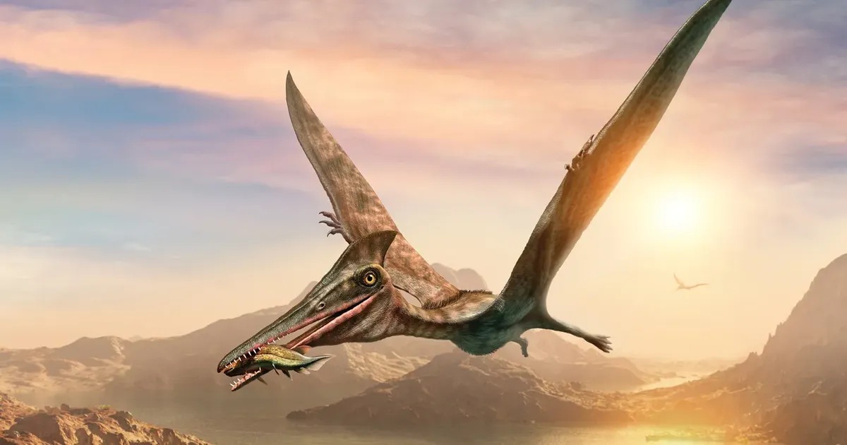 Briti insenerid loodavad lendavate sauruste luudest innustatult luua midagi uut