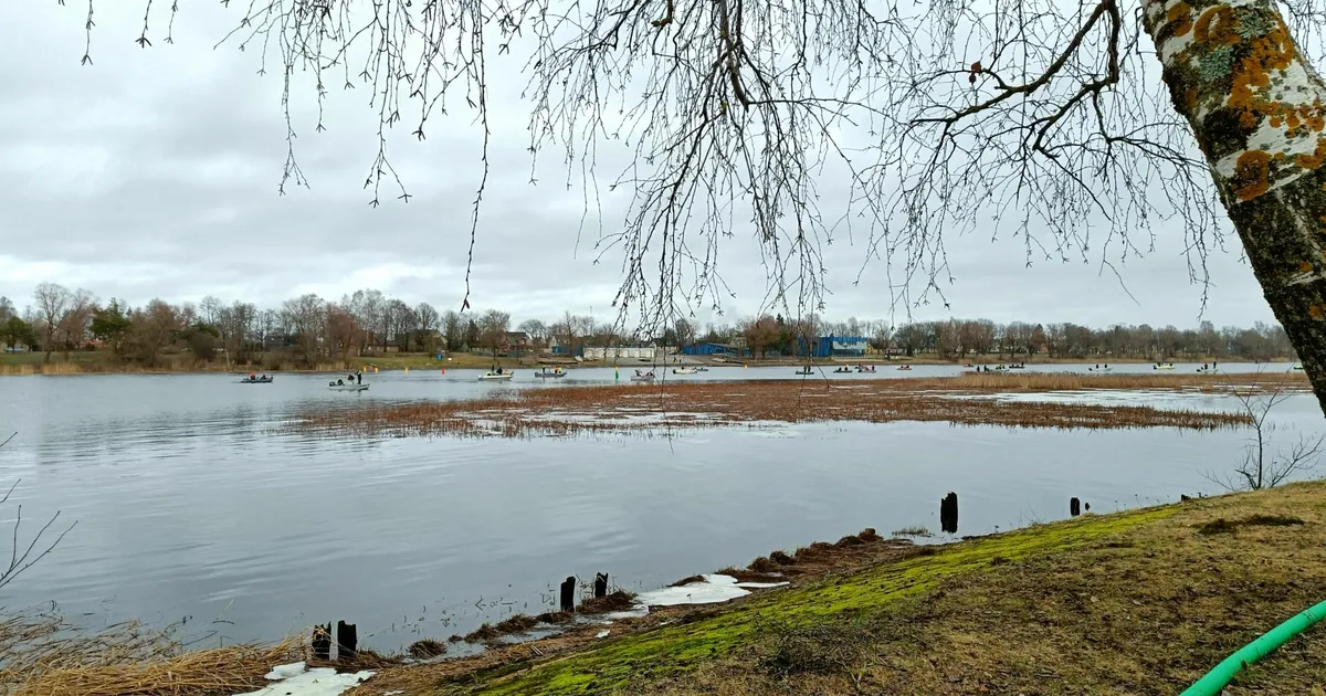 Pärnus valutatakse südant kalavaru pärast
