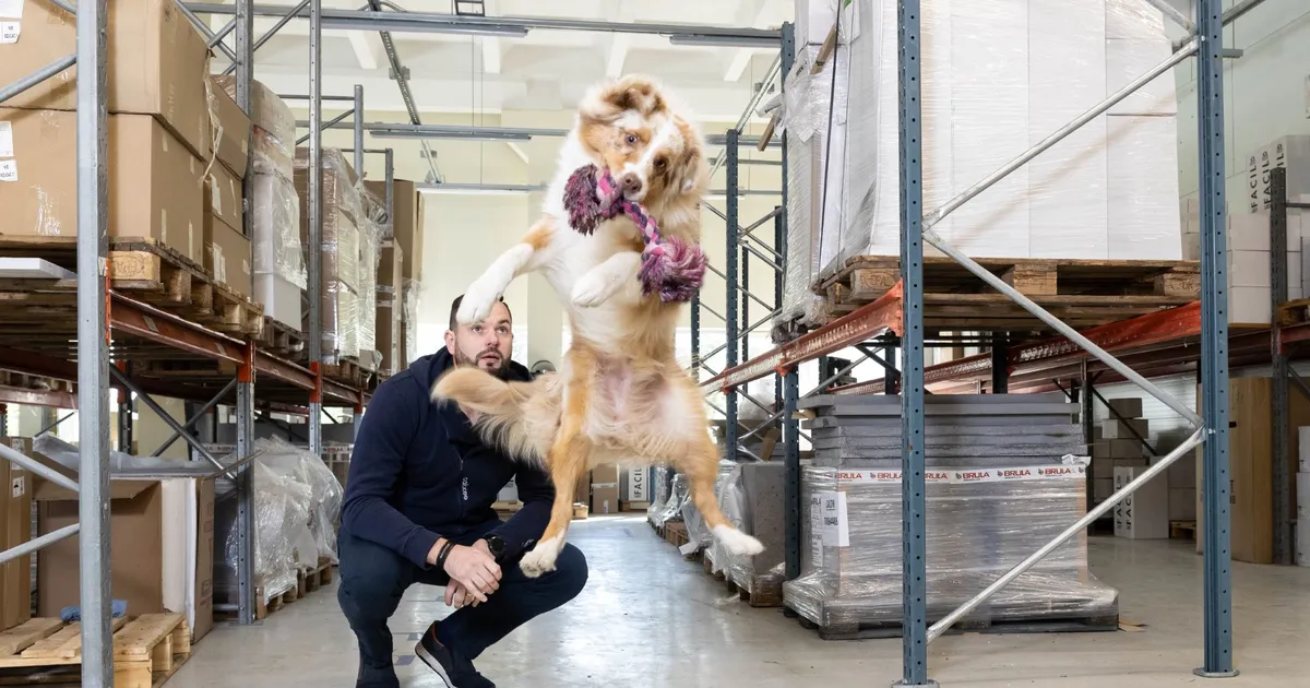 VAHVA GALERII ⟩ Vaata, millistes põnevates ametites karvased kolleegid end proovile panevad