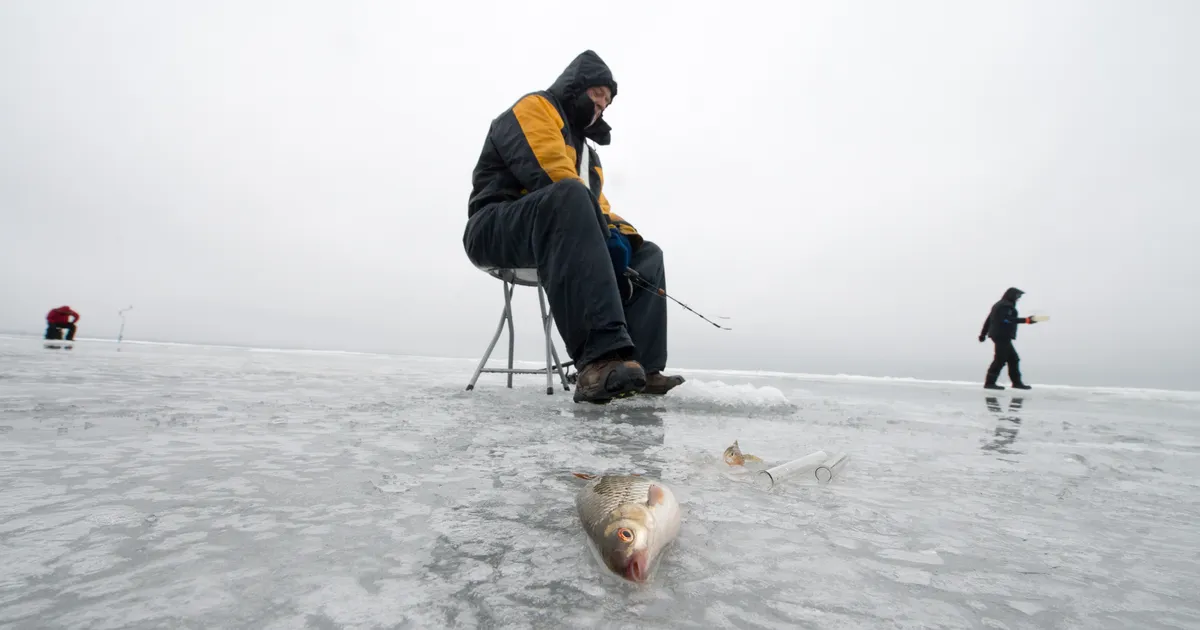 Mida teha ja kuhu minna nädalalõpul?