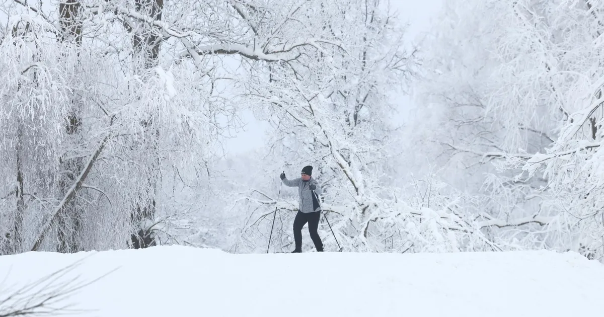 Juurikas. Kõik eestlased suuskadele!
