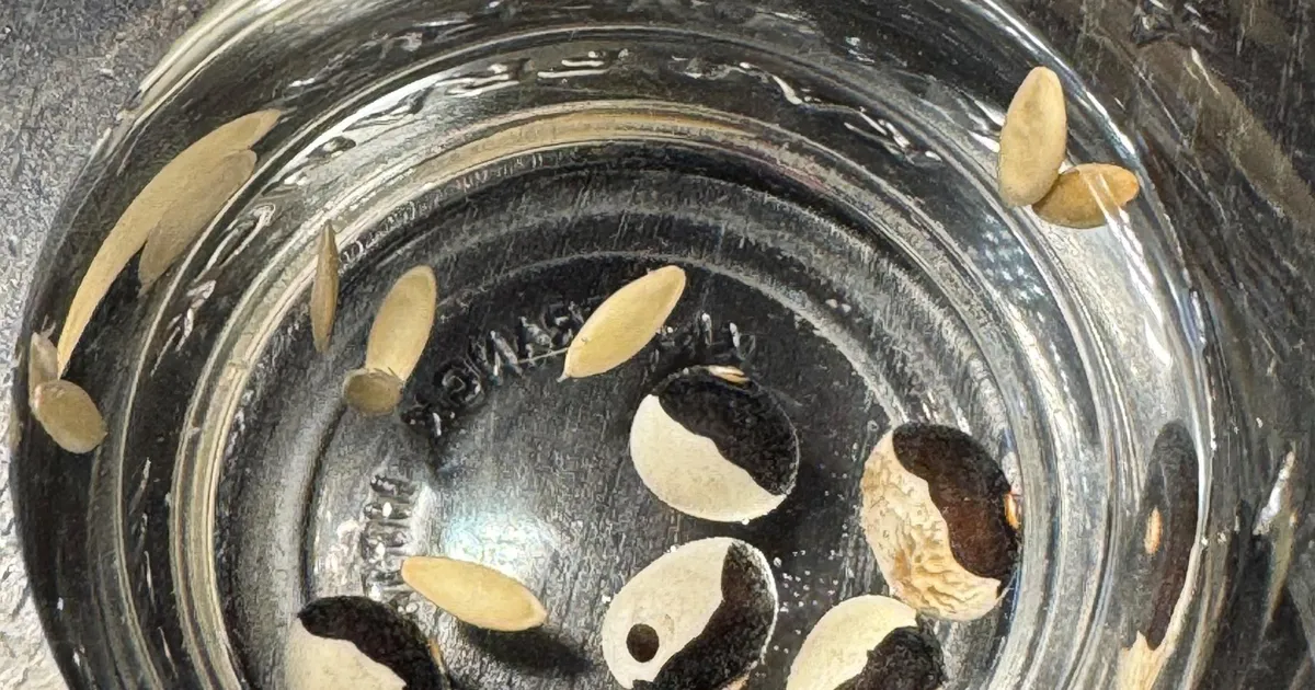 NÄDALA AED ⟩ Kas seeme idaneb?