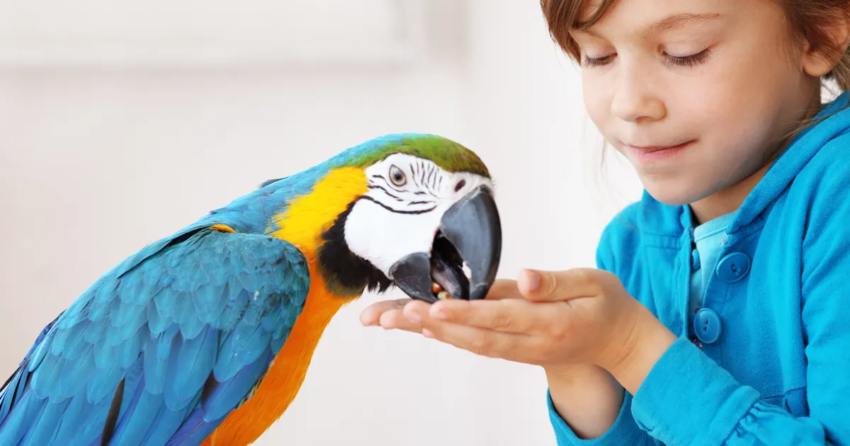 Eksootilised lemmikud koguvad populaarsust: 4 olulist asja, mida peaksid nende kohta teadma