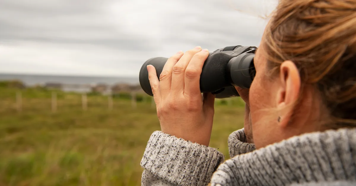 MÜSTEERIUM ⟩ «Hingamine muutus taas rahulikuks. Ja siis ta nägi seda. All rannal liikus miski»​