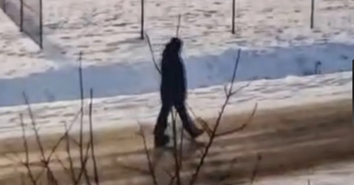 Põlva vallas kadunud noor naine leiti üles