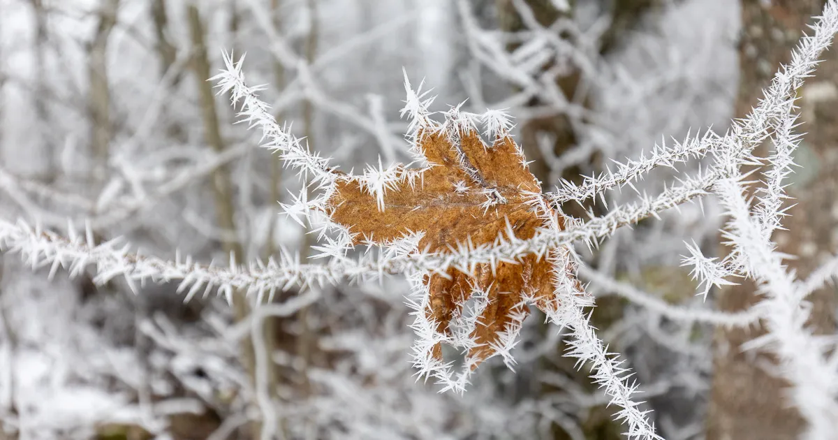 Esmaspäeval püsivad miinuskraadid