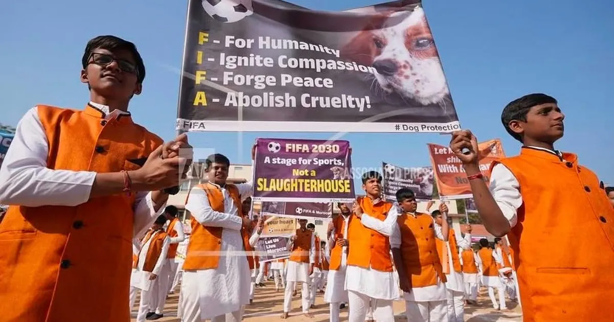 MEELETU JULMUS ⟩ Jalgpalli MMi tõttu tapetakse miljoneid koeri