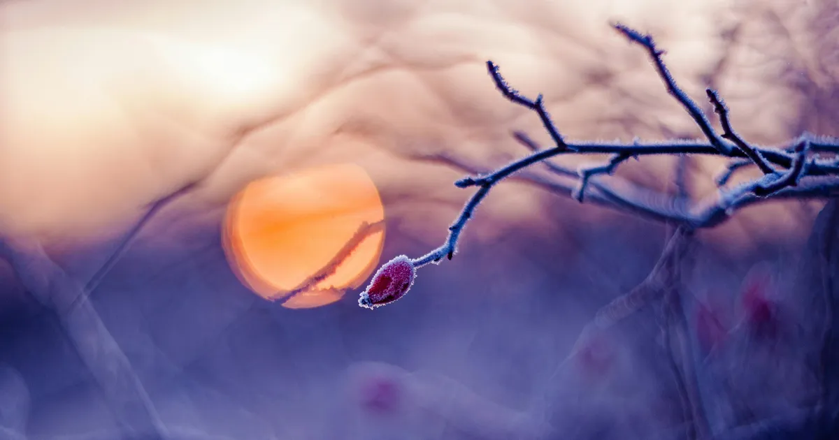 SODIAAGISOSINAD ⟩ Sel nädalal võivad paljud tunda, nagu sammuksid udus: tuleb usaldada sisemist juhatust