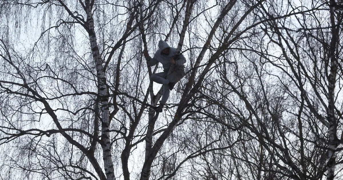 FOTOD ⟩ Tallinnas põrkasid kokku tramm ja sõiduauto - juht põgenes avarii järel puu otsa