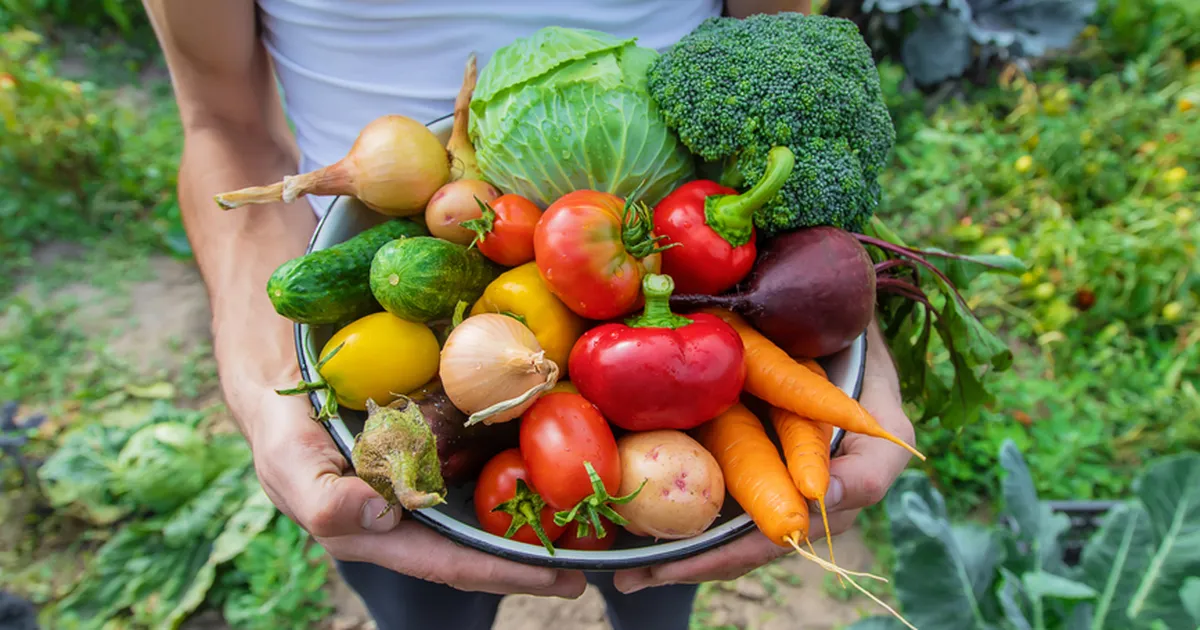 Kolm kuud tooreid köögivilju söönud mees sai kaalule astudes šoki