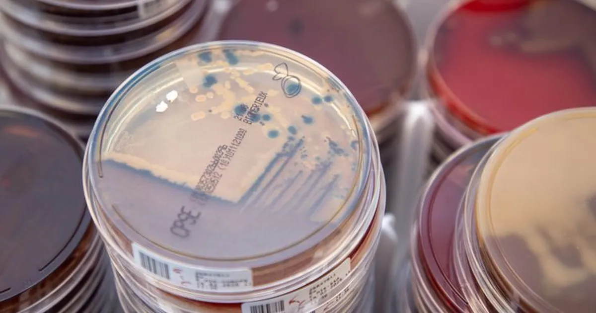 Galerii ⟩ Ekskursioon Eesti suurimas meditsiinilaboris: kuidas käib proovide analüüs?