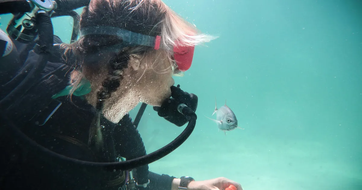 Saksa uurijad tuvastasid midagi enneolematut kalade kohta