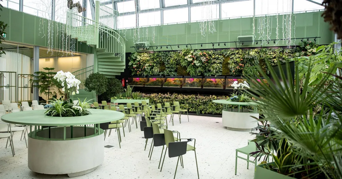 NÄDALA TALVEAED ⟩ Apelsinimaja tagasitulek