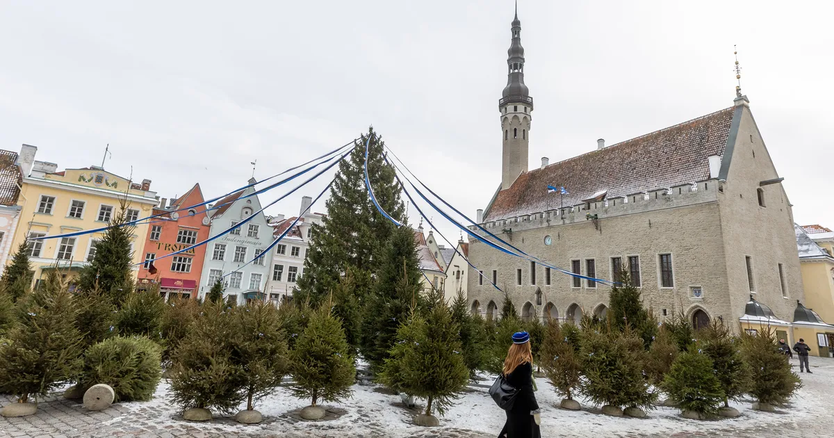 FOTOD ⟩ Tallinna Raekoja plats kaunistati sinimustvalgete lipsukestega