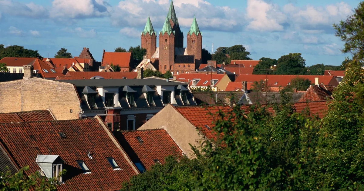 Hot dog'id ja tormijooks toidupoes: kuidas Ozempic Taani väikelinna muutis