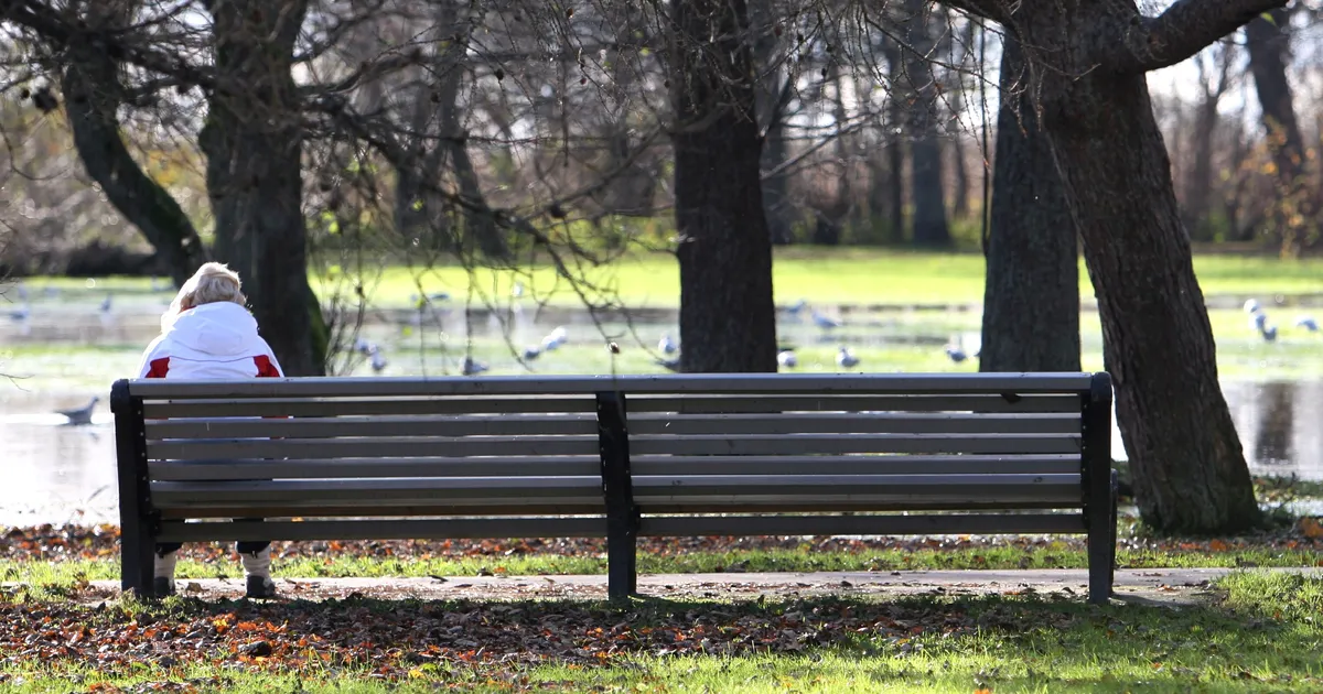 MARTI AAVIK ⟩ Üksinduses koerte poolt puretud. Kas seda saatust meile soovitaksegi?