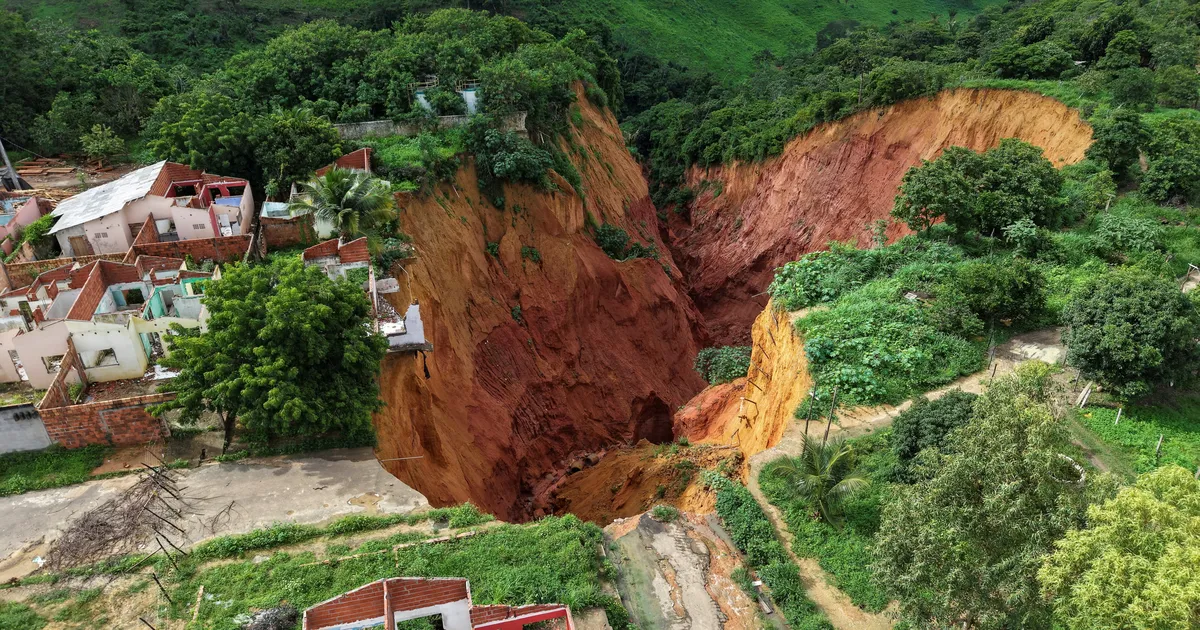 Amazonase linnas kuulutati hiiglaslike karstilehtrite tõttu välja eriolukord