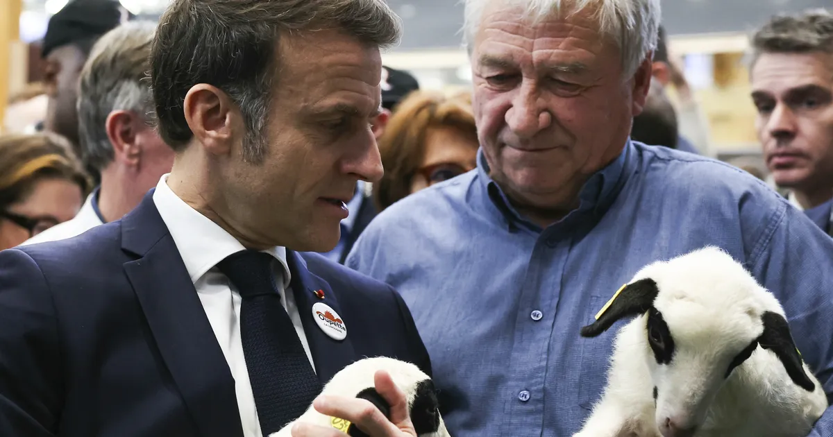 Macron: Prantsusmaa püüab Mercosuri-ELi kaubanduslepet blokeerida