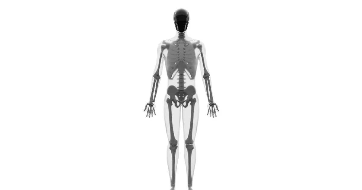 VIDEOD ⟩ Õudne või nunnu: sellel humanoidrobotil on lihased nagu inimesel